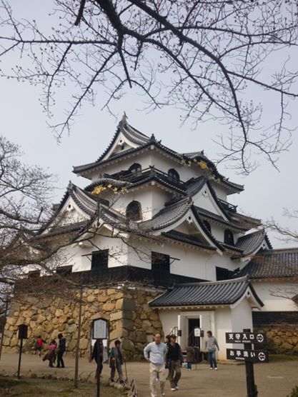 Biwako hikone castle
